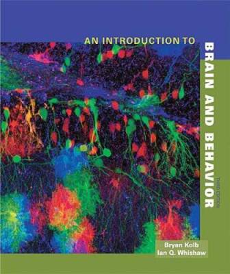 An Introduction to Brain and Behavior, Third Edition - Hardcover - GOOD