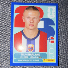 Panini FIFA Rookie Erling Haaland #23 Manchester City FC Soccer Card. rookie card picture
