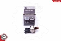 Esen SKV 17SKV598 Sensor, Kraftstoffdruck FüR Dacia,Ford,Nissan,Renault,Suzuki