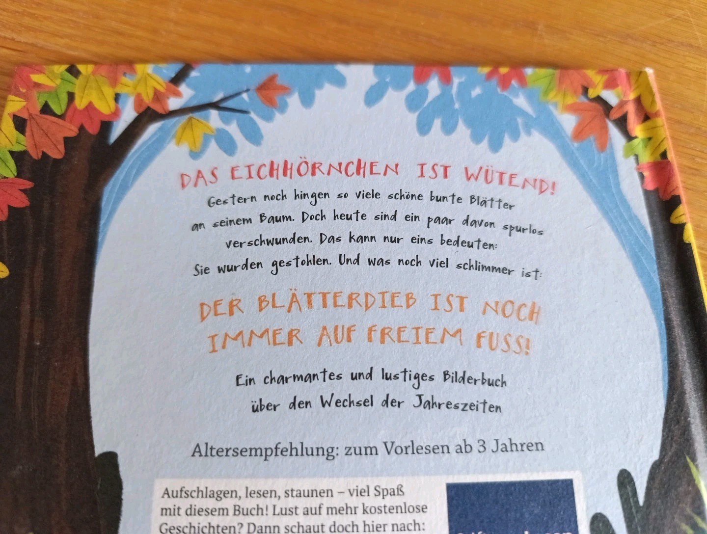 Bild 3 von 4