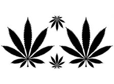 Marijuana Leaf 4 pcs 1 to 3 Inch Black Fused Glass Decals