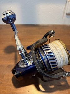 Daiwa Saltiga Expedition 5500h | eBay