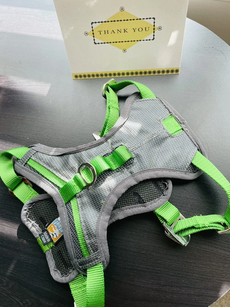 Dog Harness Hewvy Duty Adjustable Green/gray Small