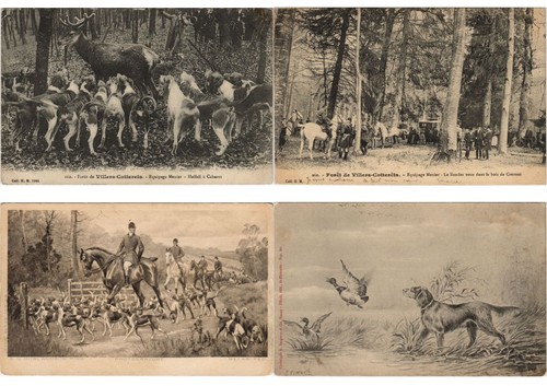 HUNTING SPORT FRANCE 28 Vintage Postcards pre-1940 (L5214) - Picture 4 of 8