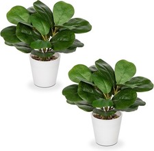 2pcs Artificial Plant in White Pots, 10.2" Faux Ficus Plant Fake Fiddle Leaf Fi