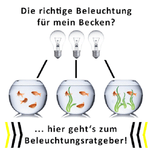 LED BELEUCHTUNG SIMULATION AUFZUG/UNTERGANG SONNENUNTERGANG MOND BELEUCHTUNG AQUARIUM AB6WW - Bild 6 von 8