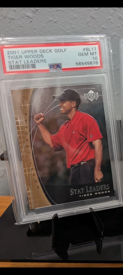 LOTE X 3 BOSQUES DE TIGRE ⛳🐯🔥🔥🔥🔥🔥🔥🐦 Foto 3 de 4