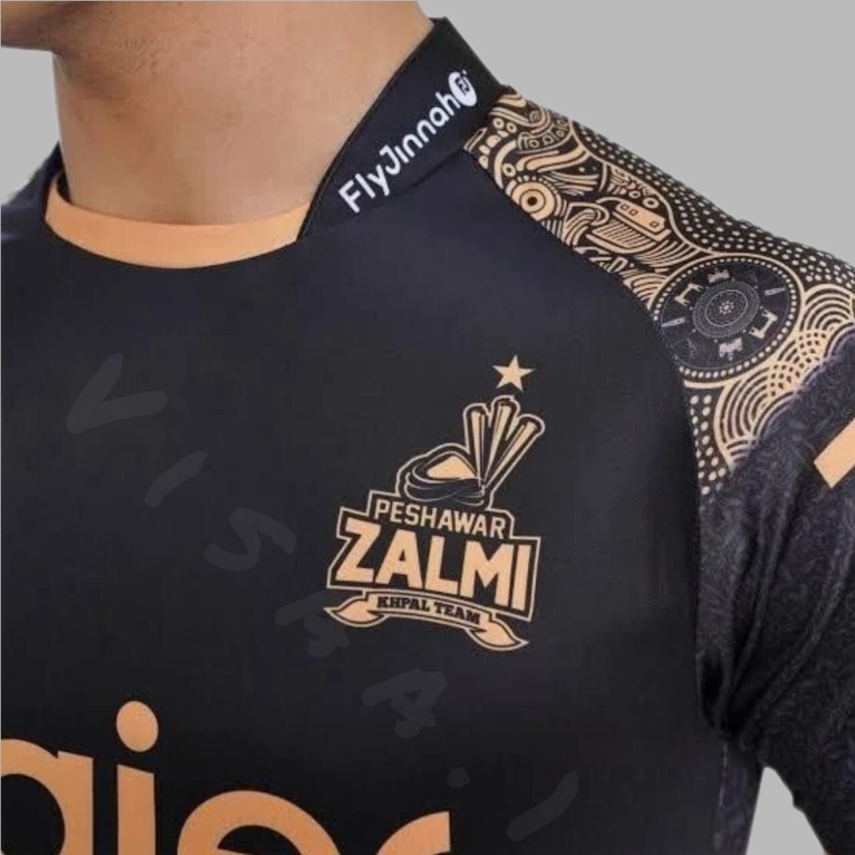 New Peshawar Zalmi PSL 2025 Jersey Official Cricket Fan T-Shirt