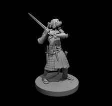 Dungeons & Dragons Komondor Dogfolk Fighter Miniature