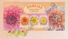 Australia 2026 Dahlias: Australian Cultivars - First Day Cover with Mini-Sheet.