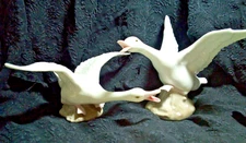 Pair KPM  PORCELAIN GEESE WHITE Bone China~ Duck~ GREAT