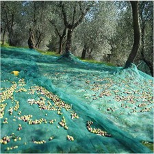 Rete Raccolta Olive 85 gr/mq