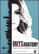 Grey's Anatomy: The Complete Thirteenth Season: Used