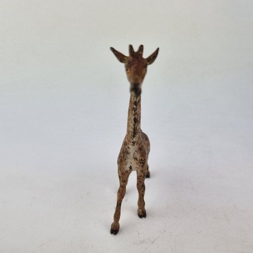 Antique Austrian Cold Painted Bronze Figure Of A Giraffe 10cm High - Picture 7 of 11