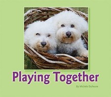 Playing Together by Michele Dufresne