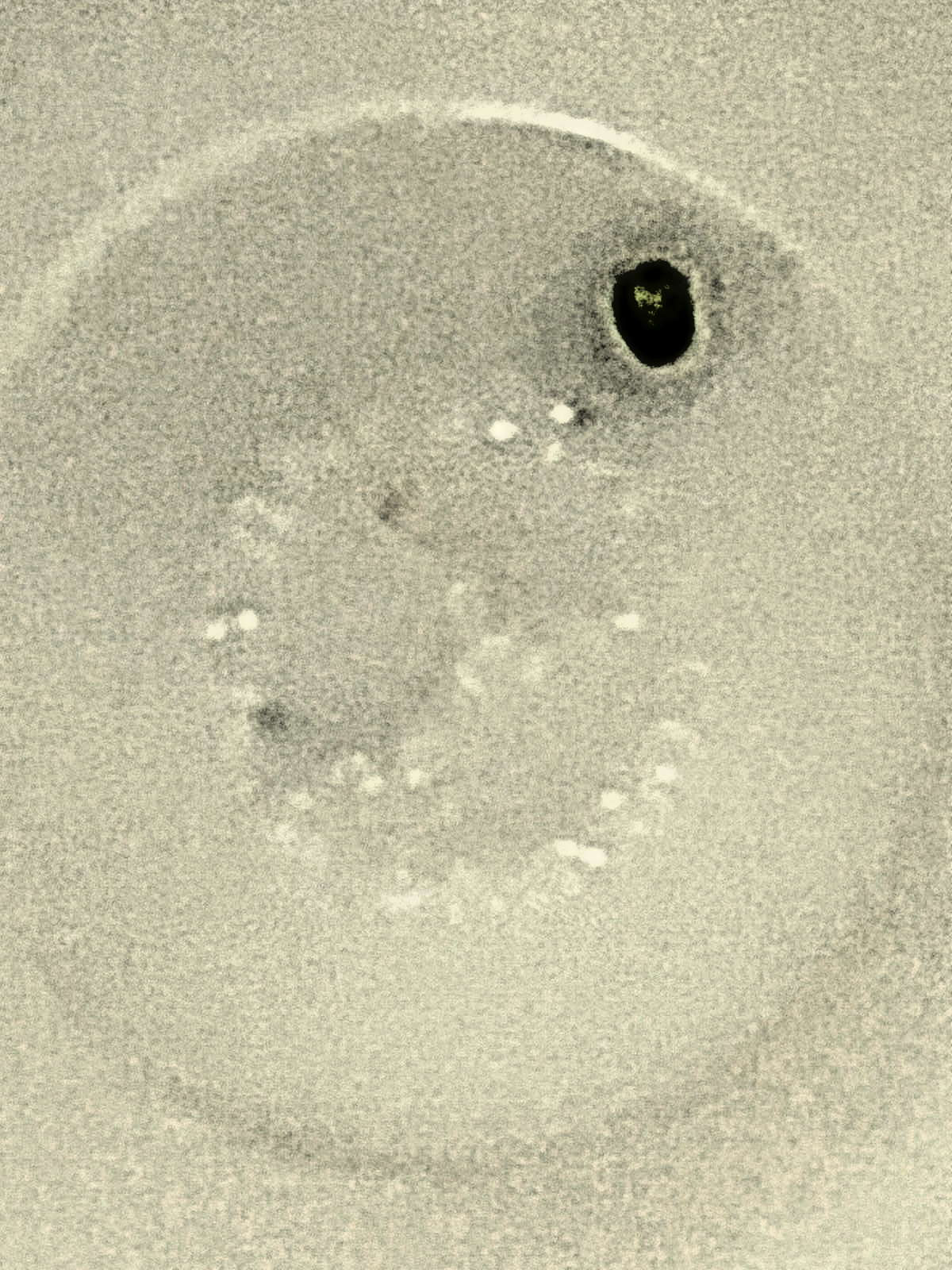 Vintage Corning Heavy White Glass Serving Bowl 10 Inch Diameter See Photos