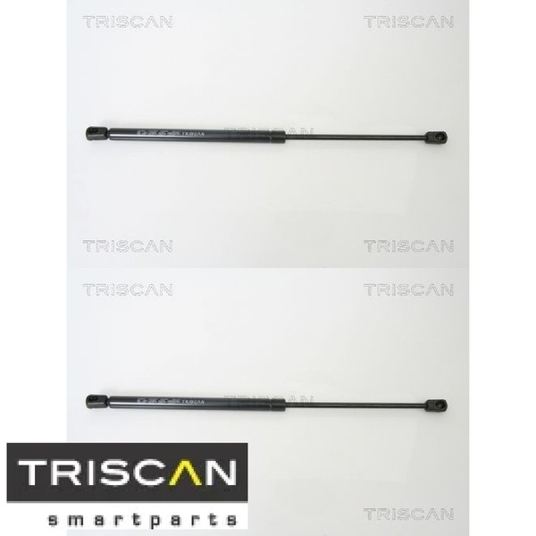 2X Gasfeder FüR Koffer-/Laderaum Triscan 871016239 DäMpfer GasdäMpfer-image