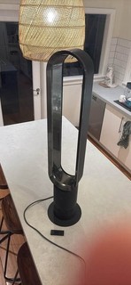 Dyson Air Cooler Fan pick up Rozelle