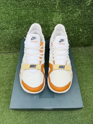 Size 10.5 - Nike LeBron 16 Air Trainer Medicine Ball  display picture 1