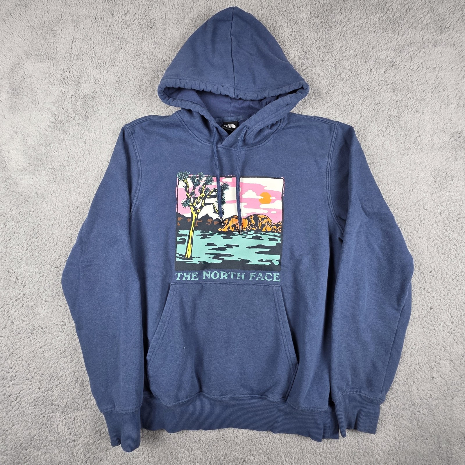 The North Face Mens Medium Blue Graphic Pullover Hoodie 21x25