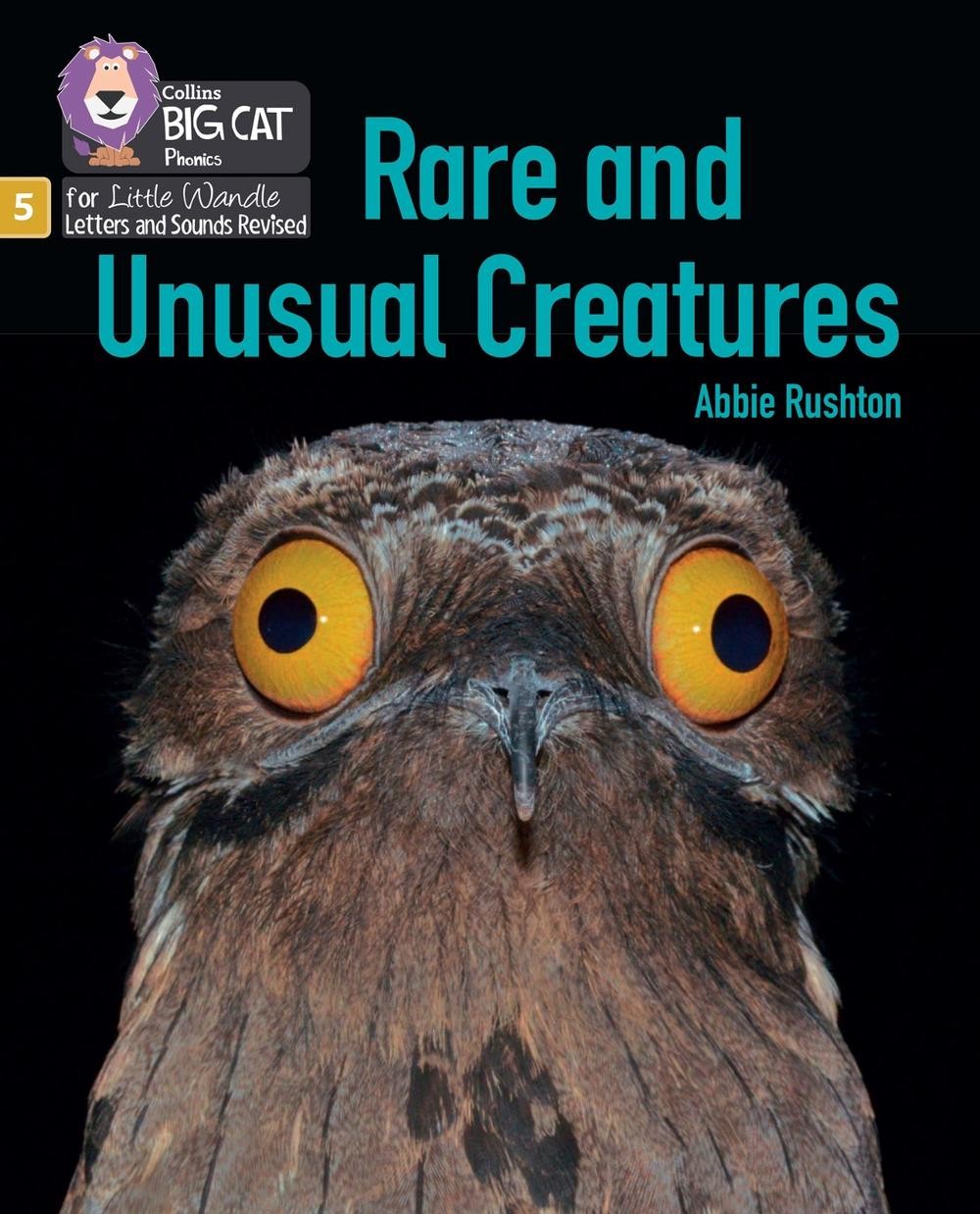 Rare and Unusual Creatures: Phase 5 Set 5 Stretch and Challenge by Abbie Rushton