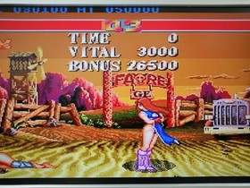 Hacker Inter Strip Fighter II PC Engine HuCard software