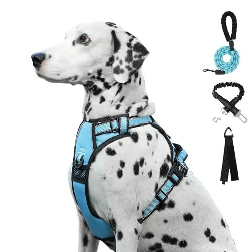 Dog Harness | No Pull Dog Harness | Reflective Oxford | Padded Large Blue