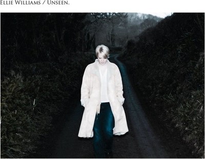 Ellie Williams - Unseen CD Pop Rock Songwriter VGC LOOK!!