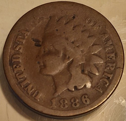 1886 1C Variety 1 BN Indian Head Penny Cent! Good Condition!