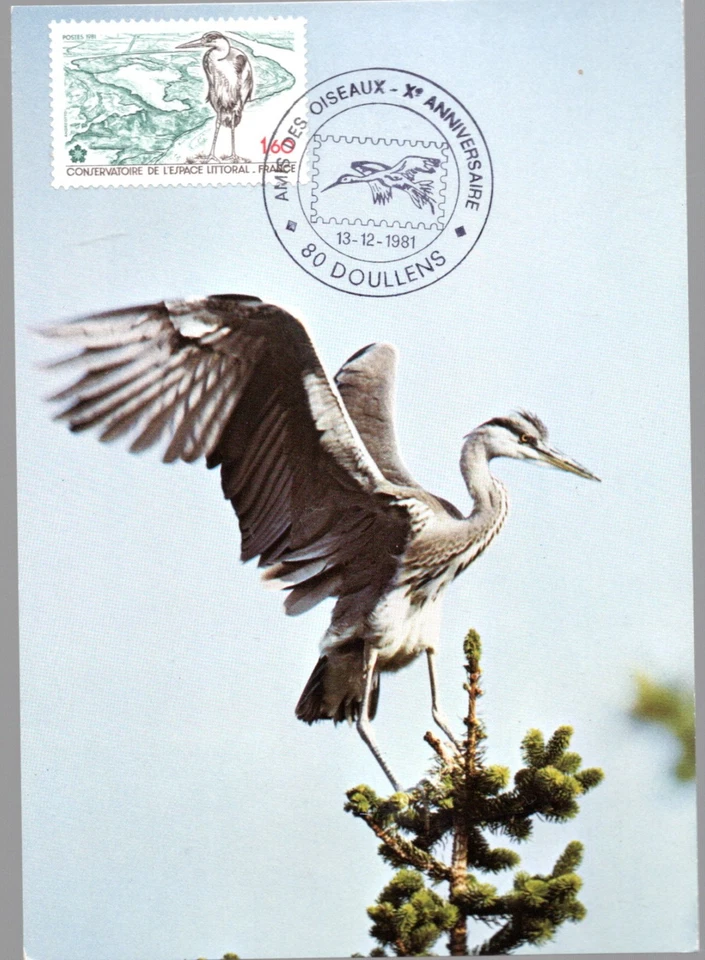 2146+ FDC CARTE 1er JOUR AMIS DES OISEAUX X° ANNIVERSAIRE DOULLENS - Photo 1/1