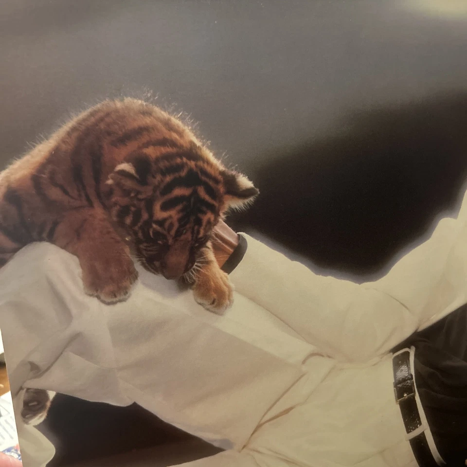 Michael Jackson THRILLER 1982 RARE Back Cover Error QE 38112- EX con./1st Press - Image 4 of 4