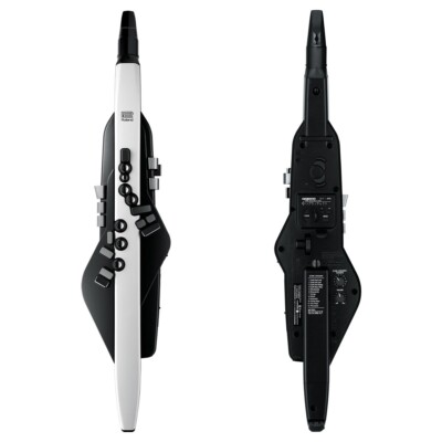 ROLAND Aerophone AE-20 AE20 Digital Wind Instrument