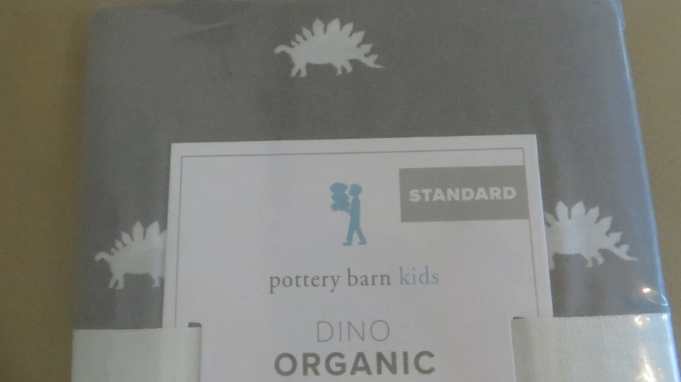 Disney pottery barn Pillow Sham dinosaur school boy Jurassic party star boy - - Image 4 of 4