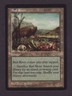 MTG Mirage Bad River