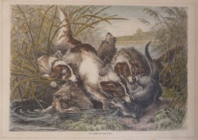 kolorierter Holzstich Die Jagd auf den Otter