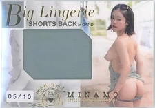 Minamo Jyutoku Big Lingerie Shorts Back in Card Ltd Ed.10