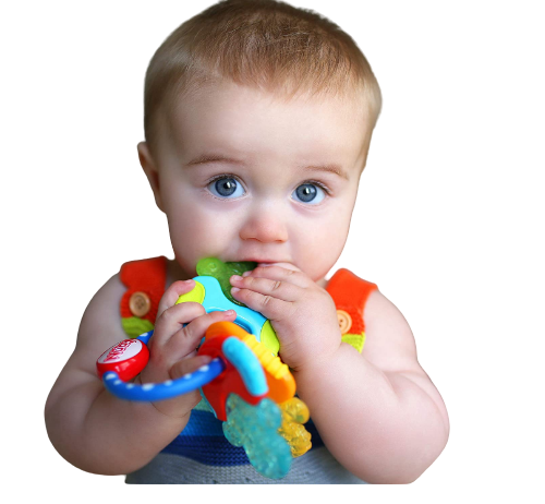 Ubuy Chew Toy Teething Toys For Babies Freezer Nuby Icy Bite Keys