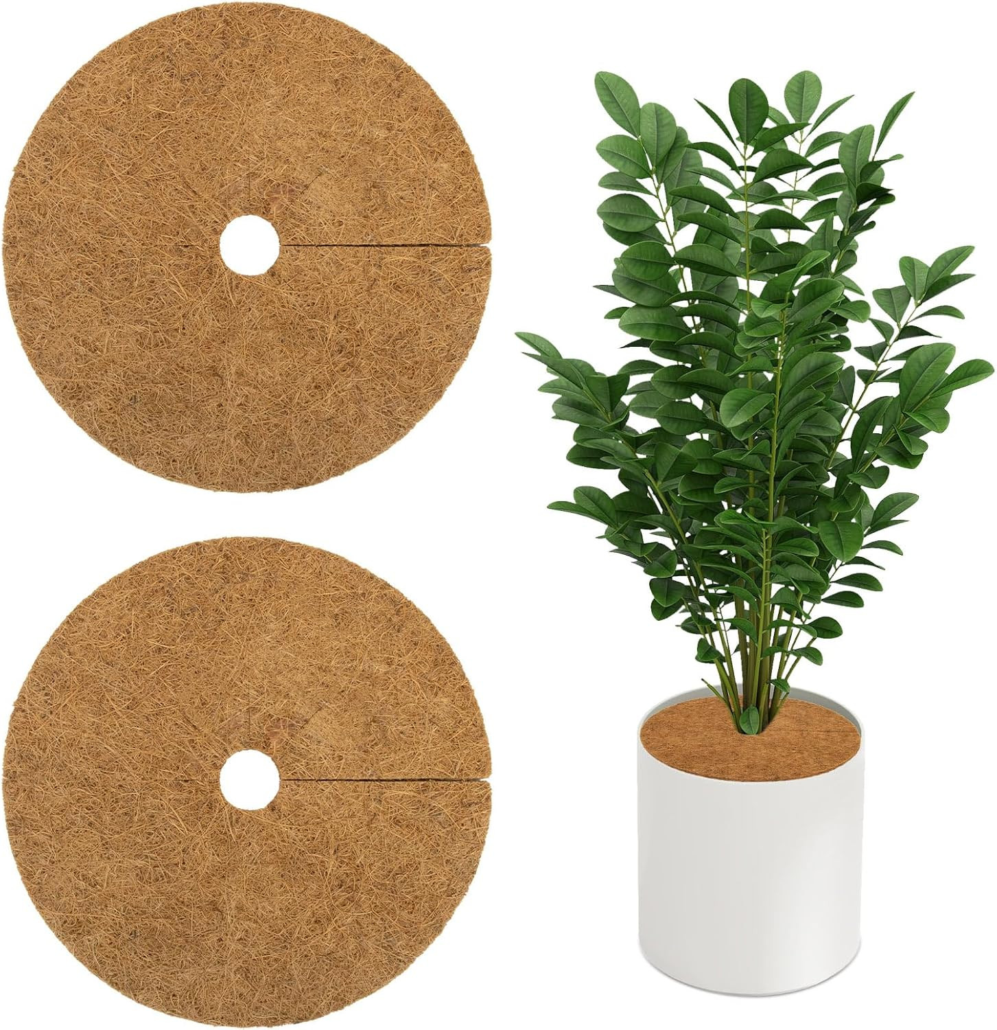 Coconut Fibers Plant Protector Mat 2PCS, 9 Inch Mulch Ring for Indoor/Outdoor