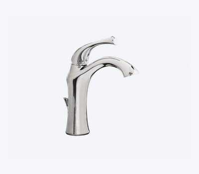 AquaSource Single Handle Polished Chrome Bathroom Faucet