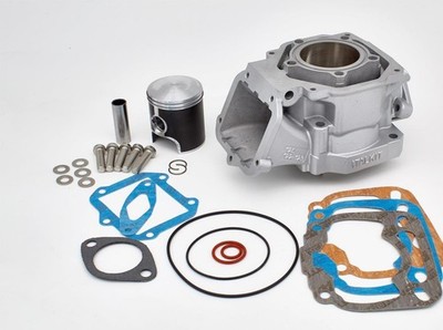 Zylinder für Aprilia RS 125 / AF1 125 / Rotax 122 
