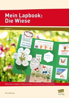 Mein Lapbook: Die Wiese | Petra Mönning | Broschüre | Broschüre drahtgeheftet