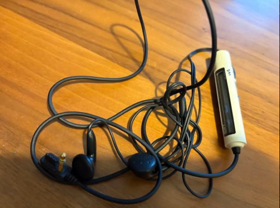 SONY ソニー CD WALKMAN D-NE20 Sony Walkman D-NE20 Personal CD Player for sale online | eBay