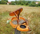 Bild 3 von 12