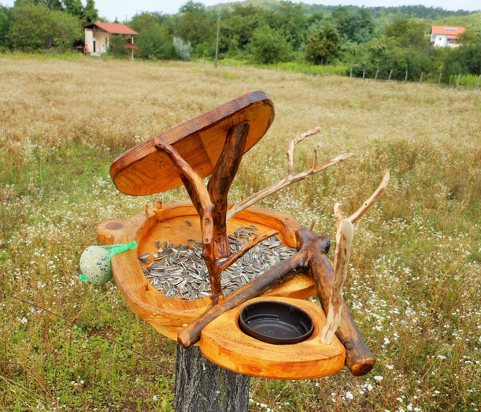 Bild 3 von 12