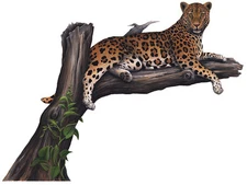 Leopard Wall Stickers Decals Giant Wildlife Mural 