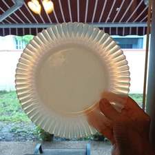 Vintage MacBeth Evans Monax Petalware 8" Replacement Dinner Plate 30 Translucent