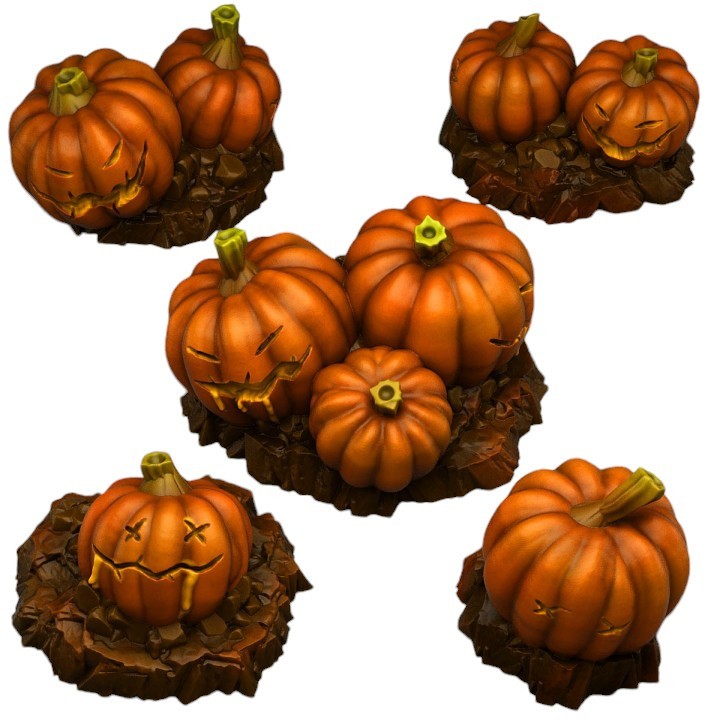 Fantastic plants et citrouilles décoratives haut de gamme pour vitrines d'automne