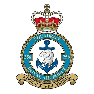 No. 256 Squadron RAF badge patch Self Adhesive Vinyl Sticker