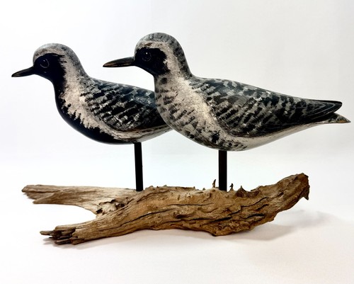 Dave Rhodes Signed Pair Carved Shorebirds Black Bellied Plover Decoys Driftwood