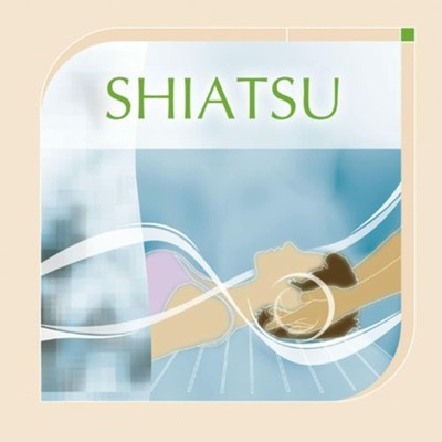 Musiques De Soins: Shiatsu By Vincent Baguerre Aurelien On Audio CD Album